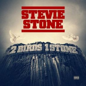 Download track The Baptism Stevie Stone