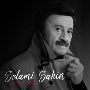 Download track Kolay Değil Selami Şahin