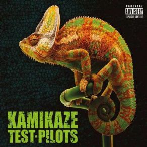 Download track Wierded Beardo Kamikaze Test Pilots
