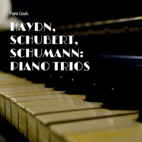 Download track Piano Trio No. 1, In B-Flat Major, Op. 99 D. 898: I. Allegro Moderato Joseph Haydn