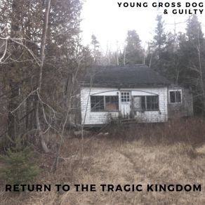 Download track Get Lost Young Gross Dog
