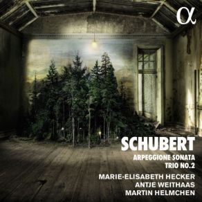 Download track 03 Piano Trio No. 2 In E-Flat Major, Op. 100, D. 929 III. Scherzando Franz Schubert