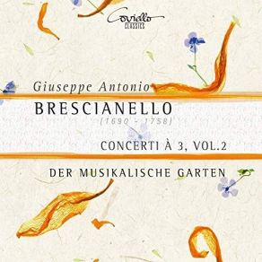 Download track 02. Concerto Settimo In A Minor II. Adagio Giuseppe Antonio Brescianello