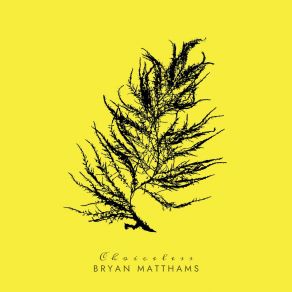 Download track Parallel Line Bryan Matthams