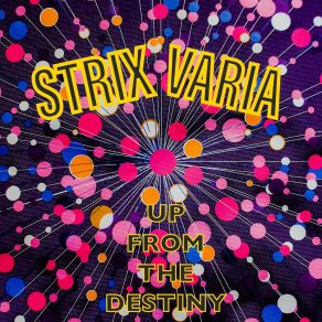 Download track Drowning In A Dream Strix Varia