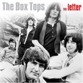 Download track Whiter Shade Of Pale The Boxtops