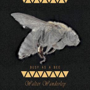 Download track Dolores Walter Wanderley