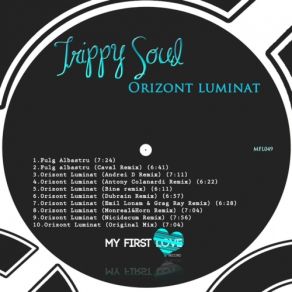 Download track Orizont Luminat (Antony Colanardi Remix) Trippy Soul