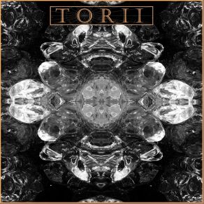 Download track The Second Renaissance TORII