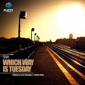 Download track Which Way Is Tuesday (Gary Mcdonald Remix) Snr