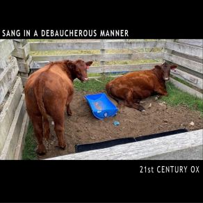 Download track Jimmy Carter Flies Over Yonder 21st Century Ox
