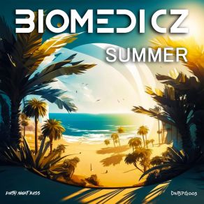Download track Summer (Extended Mix) Biomedicz