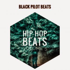 Download track She Ain't In It (Instrumental) Black Pilot Beats
