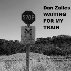 Download track Knockin' On Your Door Dan Zalles