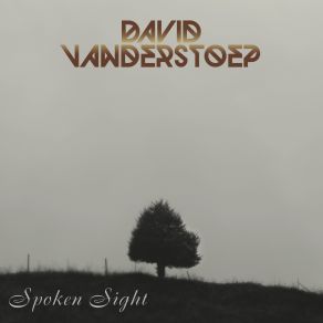 Download track Gypsy David Vanderstoep