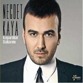 Download track Merdivenim Kırk Ayak Necdet Kaya
