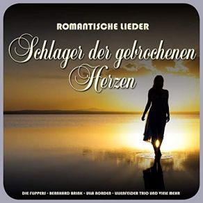 Download track Schau In Den Spiegel, Du Bist Schön Die Flippers