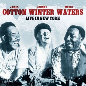 Download track Black Cat Bone / Dust My Broom (Live) Johnny Winter, Muddy Waters, James Cotton