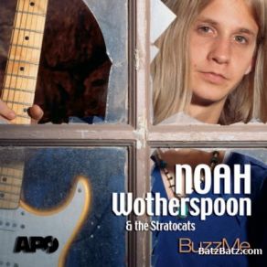 Download track The Sky Is Crying The Stratocats, Noah Wotherspoon