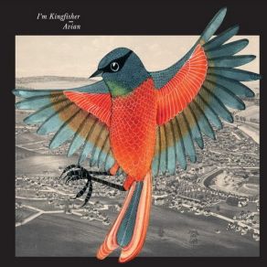 Download track I'm Kingfisher I'm Kingfisher