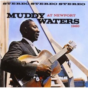 Download track Tiger In Your Tank (Mono) Muddy Waters