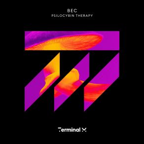 Download track Psilocybin Therapy (Egbert Remix) Egbert
