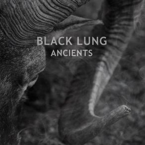 Download track Vultures Black Lung