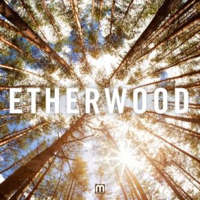 Download track Weightless Etherwood