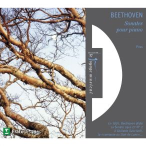 Download track Piano Sonata No. 8 In C Minor, Op. 13 