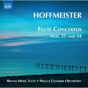 Download track Flute Concerto No. 24 In D Major - III. Rondo: Moderato Prague Chamber Orchestra, Bruno Meier