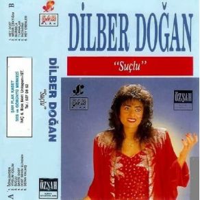 Download track Hey Dost Dilber Doğan