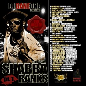 Download track Ting A Ling Shabba Ranks, DJ Dane One