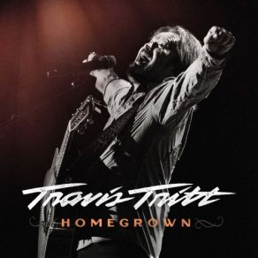 Download track Don't Give Your Heart To A Rambler Travis Tritt