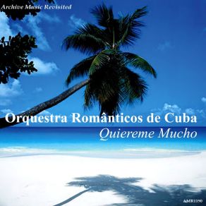Download track Sinceridad - Amado Mio Orquestra Romanticos De Cuba