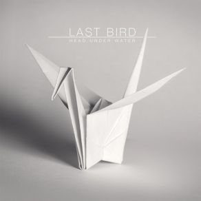 Download track Half Of The Time Last Bird