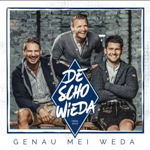 Download track De Ganze Welt Geht Ab DeSchoWieda