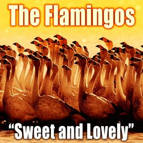 Download track In The Still Of The Night (Remastered) The Flamingos