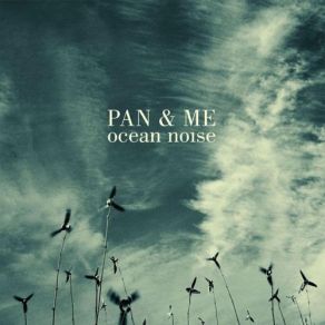 Download track Le Rose Du Bleu Pan & Me