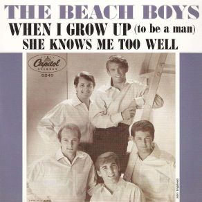 Download track When I Grow Up To Be A Man (Mono Single - 08. 17. 1964) The Beach Boys