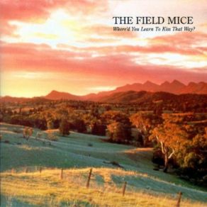 Download track Sensitive The Field Mice