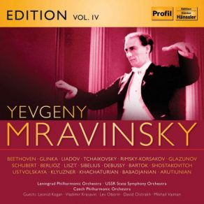 Download track Music For Strings, Percussion & Celesta, Sz. 106: II. Allegro (Live) Evgeni MravinskyNora Nuridzhanyan