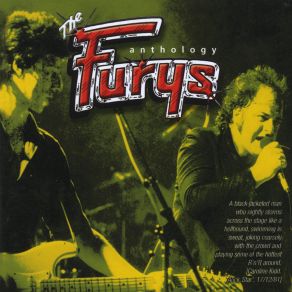 Download track The Walk (Live) The Furys