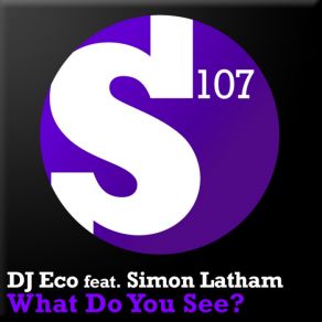 Download track What Do You See? (Ashley Wallbridge Dub Remix) Dj Eco, Simon Latham