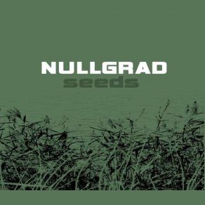 Download track Realize Nullgrad