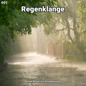 Download track Regenklänge, Pt. 41 Elea Misel