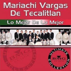 Download track Caballo Viejo Mariachi Vargas De Tecalitlán