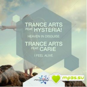 Download track Heaven In Disguise (Dub Mix) Trance ArtsThe Hysteria
