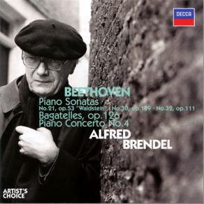 Download track Beethoven Piano Sonata No. 30 In E Major, Op. 109 - I. Vivace Ma Non Troppo Ludwig Van Beethoven, Alfred Brendel